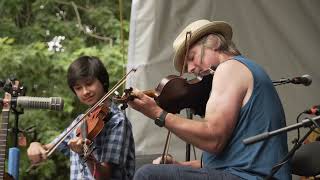 Daniel Lapp and TMT  Vancouver Folk Music Festival 2024 [upl. by Ellenrad860]