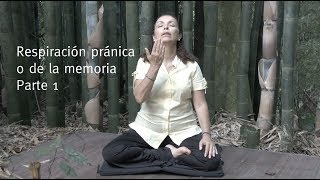 Respiración pránica o de la memoria  Parte 1 [upl. by Ettenwad]