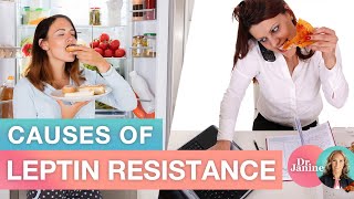 Causes of Leptin Resistance  Dr J9 Live [upl. by Hafler]