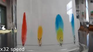 Food coloring chromatography [upl. by Ronaele593]