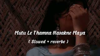 Mutu Le Thamna Nasakne Maya  slowed  reverbe  Rosalyn Shrestha [upl. by Enilra]