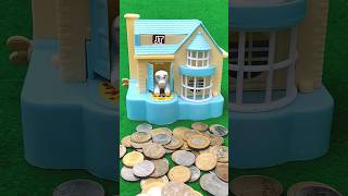 Dog poppy condition House amp the kitchen box piggy bank JT113 viralshort shortvideo shorts [upl. by Tuorah]