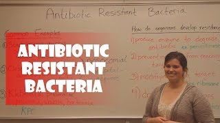 Antibiotic Resistant Bacteria [upl. by Margetts]