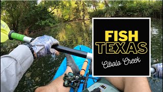 FISH TEXAS  Cibolo Creek [upl. by Rosenblatt]