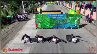 KILINGKINGAN FESTIVAL 2024  CONTINGENT 5 [upl. by Adni]