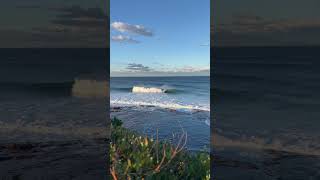 The surf in the Illawarra was firing last week [upl. by Adyela]