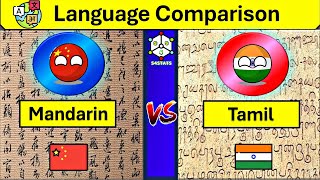 Tamil Vs Chinese Language Comparison  Tamil and Chinese Similarities And Differences  Singapore [upl. by Addison]