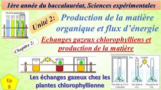 1BSEFU2CH2ep8Les échanges gazeux chez les plantes chlorophylienne التبادلات الغازية [upl. by Seni]