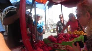 POMEGRANATE JUICING  LOD ISRAEL 2017 [upl. by Ahsimal701]