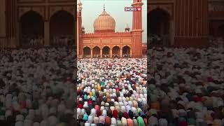 EidAlFitr Celebrated Delhi Thousands Gather To Offer Prayers Exchange Greetings  shorts  N18S [upl. by Elmaleh]