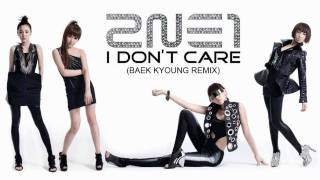 HD 2NE1 I Dont Care Baek Kyoung Remix MP3 [upl. by Alim]