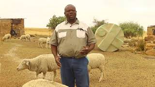 Nakana Masoka Farmer and AFASA Chairperson  Free State [upl. by Leonore]