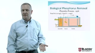 All Things Water Course I Nutrient Removal Part 2 of 2 [upl. by Dittman]