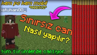 Sonsuz kalp nasıl yapılır ölümsüz oldum  Minecraft Sınırsız Can Kodu [upl. by Ytsim]