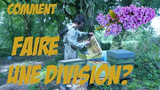 Comment faire une division pour prévenir lessaimage des abeilles [upl. by Shelley]