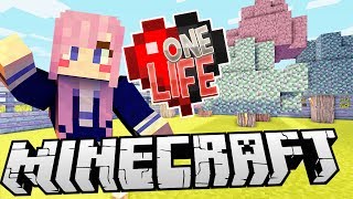 A Magical Wall  Ep 6  Minecraft One Life [upl. by Gorden]