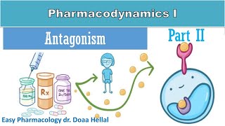 Pharmacodynamic part 2 antagonism [upl. by Werda]