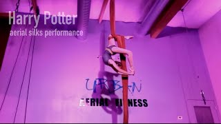 Aerial Silks Performance  Charlie  Hedwigs Theme mix [upl. by Aisya608]