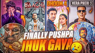 FINALLY Pushpa Jhuk Gaya 🙏 Baaghi 4 Announcement Hera Pheri 3 Confirmed Dhoom 4 News askladder 1 [upl. by Jim]