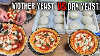 Neapolitan Pizza Dough 70  Mother Yeast Vs Dry [upl. by Schlicher]