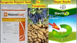 Bayer Sectin vs Syngenta Ridomil Gold  Mancozeb  Fenamidone  Metalaxyl  M  Fungicide [upl. by Samot285]