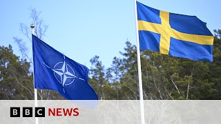 Sweden and Finland join Nato military exercises  BBC News [upl. by Sylvan548]