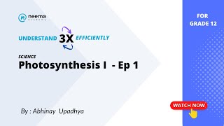 Photosynthesis I  Ep 1  Grade 12 [upl. by Llerut]