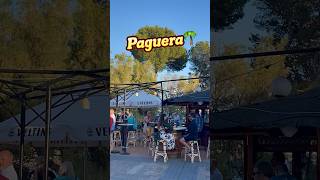 Paguera🌴🏖️MALLORCA island❤️Boulevard Abendstimmung in Paguera 🇪🇸spain mallorca travel shorts [upl. by Nnayrrehs]