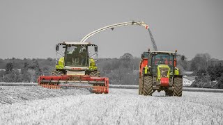 Travaux agricoles de lannée 2019 [upl. by Moreta]