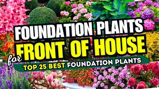 🏡 25 Best FOUNDATION PLANTS for Front of House 😍✨ FRONT YARD FABULOUSNESS 😱 [upl. by Fidelia]