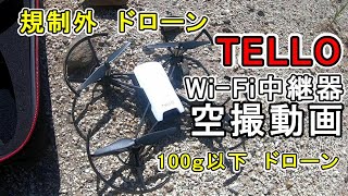 規制外ドローン！！ TELLO空撮動画 初飛行、WiFi中継機あり [upl. by Clare561]