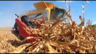 Geringhoff Rota Disc Elite harvesting in down corn [upl. by Aciras659]