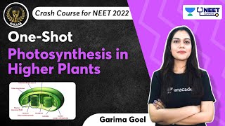 Phoenix 20 Biology Most Important Video for NEET 2025  Unacademy NEET Toppers  Udaan [upl. by Mellie]