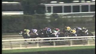 TVG Breeders Cup Moment  Unbridleds Song [upl. by Lavro]