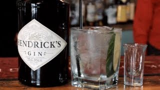 Hendricks Gin amp Tonic Drink Recipe  Tasty GampT Drink With Cucumber [upl. by Daas]