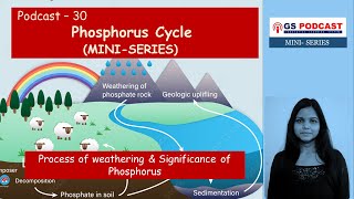 Phosphorus Cycle ExplainedUPSC Question GS PODCAST [upl. by Sirk]