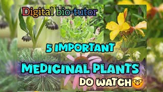 Ancient Remedies The Science Behind Medicinal Plants🤔 [upl. by Nivel]