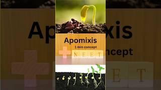 Apomixissexual reproduction in flowering plantsncertbiologyneet concepts and factsshorts [upl. by Llebanna]