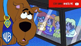 ScoobyDoo  The Hamster Incorporated  WB Kids [upl. by Daniela593]