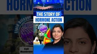 The Story of Hormone Action  NEET Concept neetbiology neet2025 neet2024 neet riturattewal [upl. by Ellehcar]