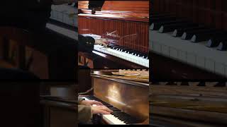 Bösendorfer VS Steinway [upl. by Dloraj990]