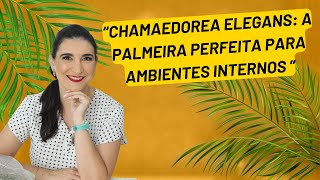 “Chamaedorea Elegans A Palmeira Perfeita para Ambientes Internosquot [upl. by Estis]