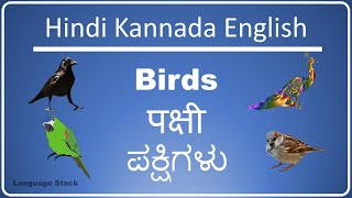 Birds name in Kannada English Hindi with Pictures  Names of Birds  Pakshigalu  Spoken Kannada [upl. by Mihcaoj706]