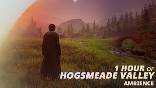 Hogsmeade Valley 1 Hour Ambience  Hogwarts Legacy [upl. by Nitsew]