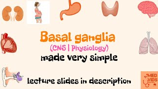 Basal Ganglia  Anatomy  Physiology  Med Vids made simple [upl. by Bowler]