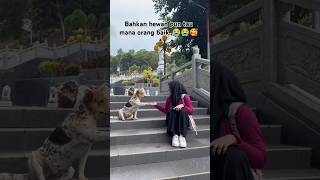 momenharu di tempat wisata‼️‼️wisata perjalanan momenharu viraltiktok inginmemelukdirimu [upl. by Liag]