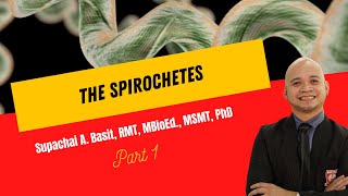 The Spirochetes [upl. by Norvall]