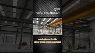 Transforming Workspaces Double Girder Overhead Crane Installation Revealed Overhead Crane for Sale [upl. by Kendry496]