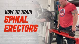 How To Train Your Spinal Erectors THE RIGHT WAY [upl. by Belva562]