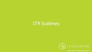 Soft Tissue Release STR Scalenes [upl. by Uno244]